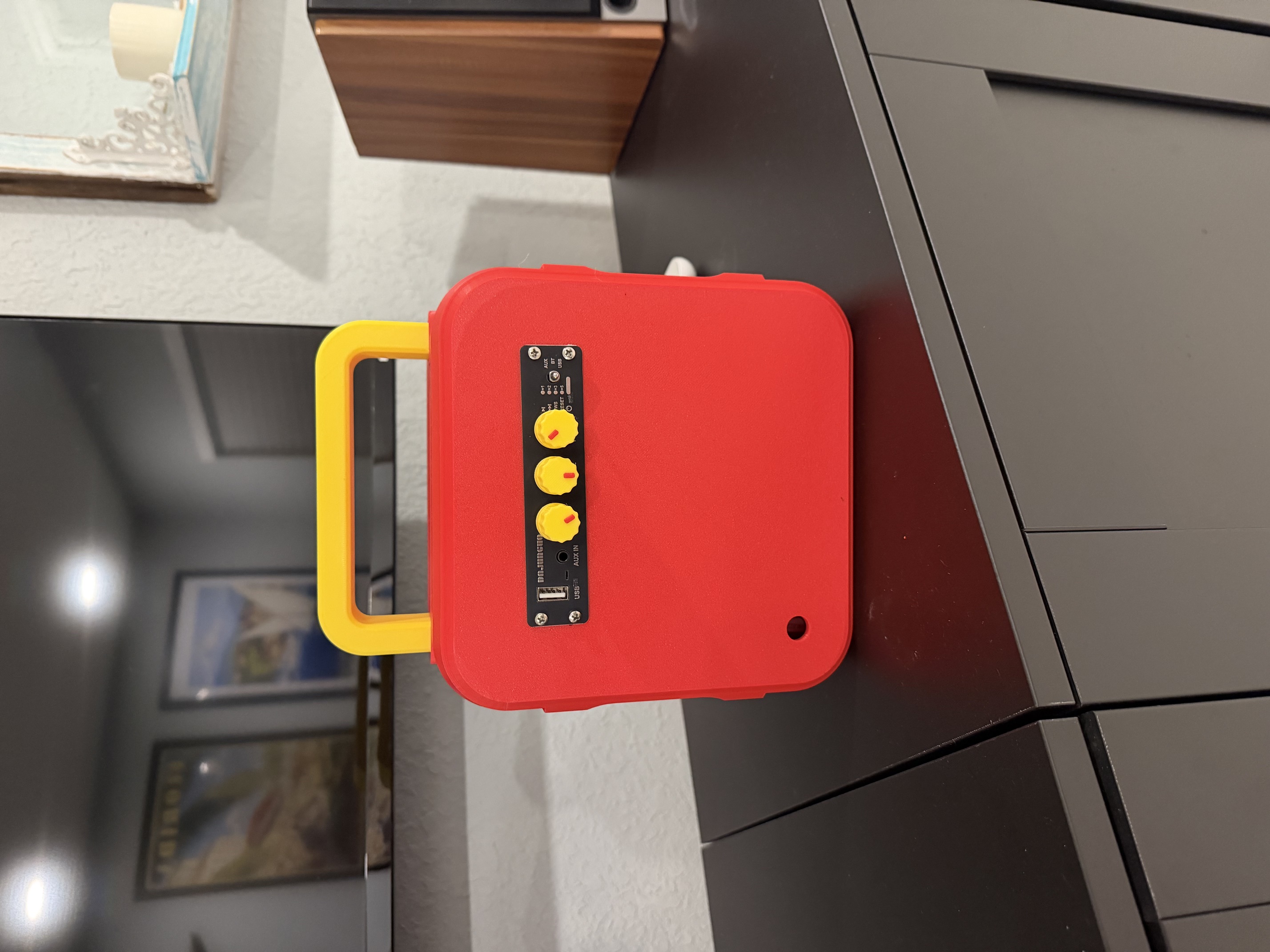 Custom printed knobs on rear panel